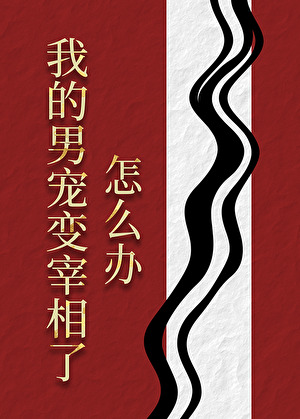 我的男宠变宰相了怎么办