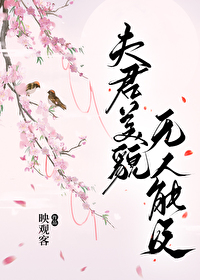 夫君负责貌美如花 小说